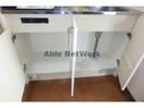 同型タイプ アンプルールリーブルpaseo