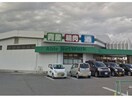 業務スーパー中園店(スーパー)まで427m サンワード大友