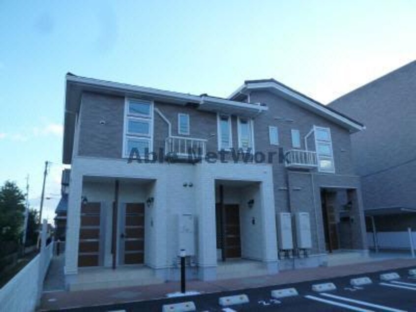  向日葵之絢　Brown
