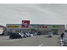 スギ薬局大浜店(ドラッグストア)まで886m 向日葵之絢　Brown