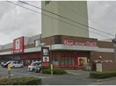 Seriaドミー新川店(ディスカウントショップ)まで508m テラスノアサウス