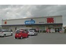 ウエルシア高浜田戸町店(ドラッグストア)まで694m みどりマンション