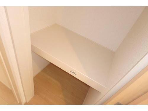 同型タイプ プルミエール毛賀知Ｂ