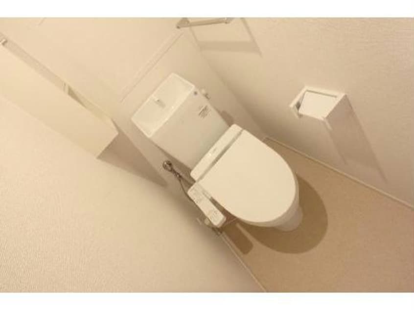 同型タイプ プルミエール毛賀知Ｂ