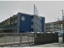 碧南市立大浜小学校(小学校)まで678m DREAM RESIDENCE 若松町B