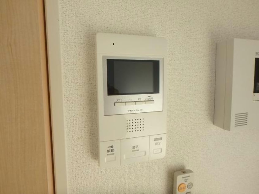  サニーオレンジ