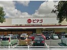 ピアゴ東刈谷店(スーパー)まで1311m あすなろⅠ