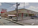 フィール岡崎大和店(スーパー)まで808m ソレイユ大和