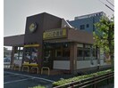 CoCo壱番屋碧南松本店(その他飲食（ファミレスなど）)まで526m HIIRAGI善明町