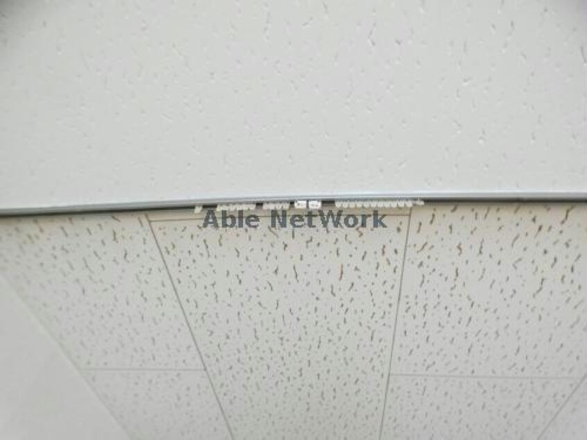 107 チェリーハイムD