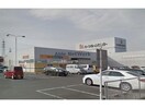 ワッツ高浜店(ディスカウントショップ)まで995m セジュールあいりすA