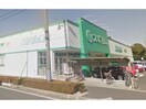 スギ薬局高浜店(ドラッグストア)まで1278m セジュールあいりすA