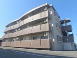 雅