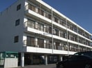 一ツ木ハイツ安井Ⅲの外観