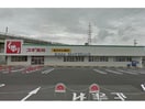 スギ薬局富士松店(ドラッグストア)まで867m プリミエール富士松Ⅱ