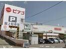 ピアゴ井ヶ谷店(スーパー)まで692m グリーンシティⅡ