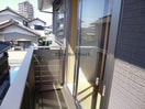 同型タイプ コンフォーティア