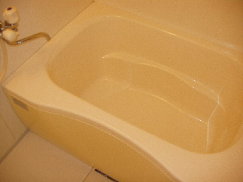 1Ｂ ブライトカメリア