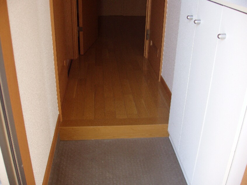 1Ｂ ブライトカメリア