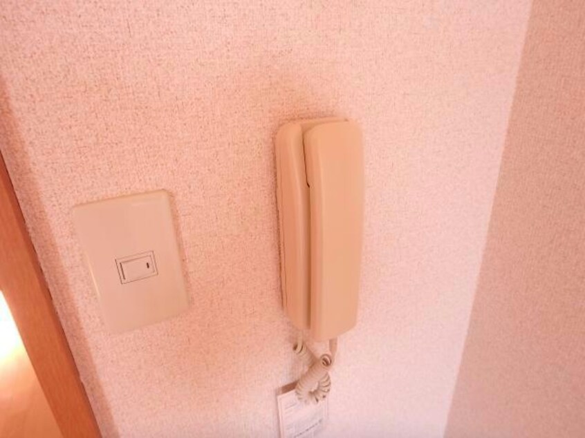 同型タイプ ブライトカメリア