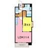 サンステージエクセル 1LDKの間取り