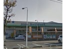 コメリハード＆グリーン碧南店(電気量販店/ホームセンター)まで1437m レークハヤⅠ