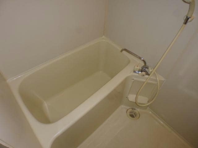 同型タイプ Surplus One 池田