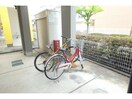その他 キャロット