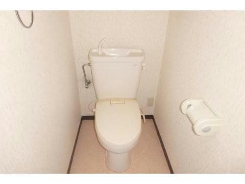 同型201 キャロット