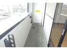 同型201 キャロット