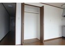 同型201 キャロット
