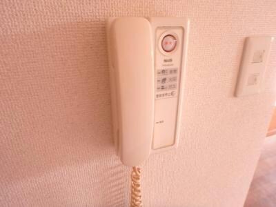 同型タイプ ＳＯＬＥ善明