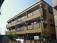 リプルイワツキ