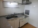 同型タイプ ラピュタ