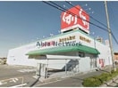 スギ薬局住吉店(ドラッグストア)まで897m ヴィクトリー