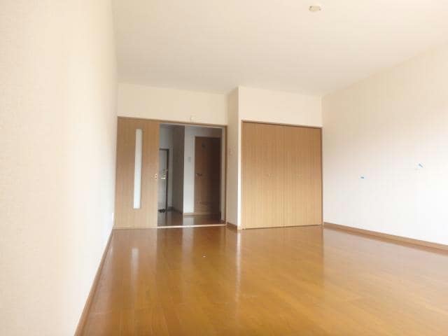 204 シャドーラム