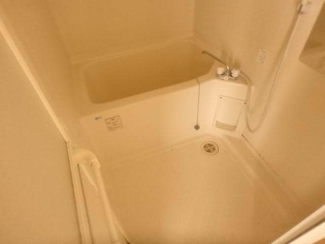 204 シャドーラム