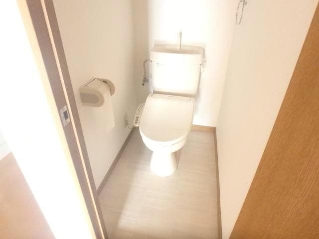 204 シャドーラム