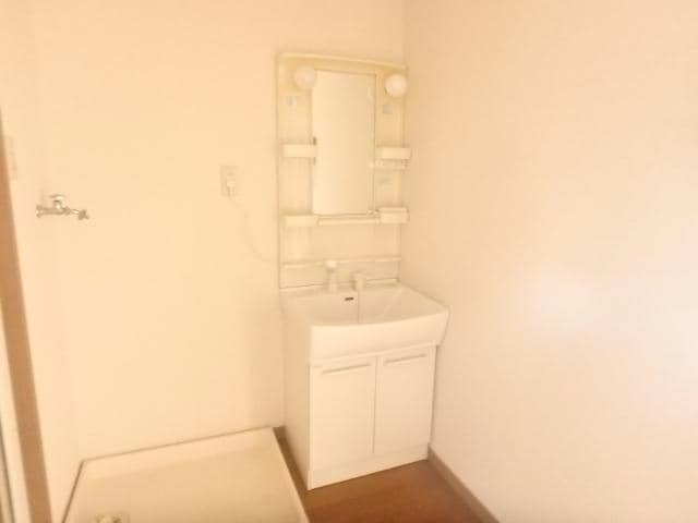 204 シャドーラム