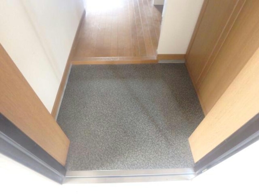 204 シャドーラム