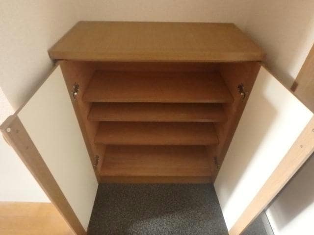 204 シャドーラム