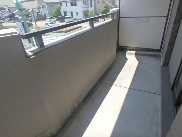 204 シャドーラム