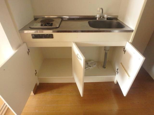 204 シャドーラム