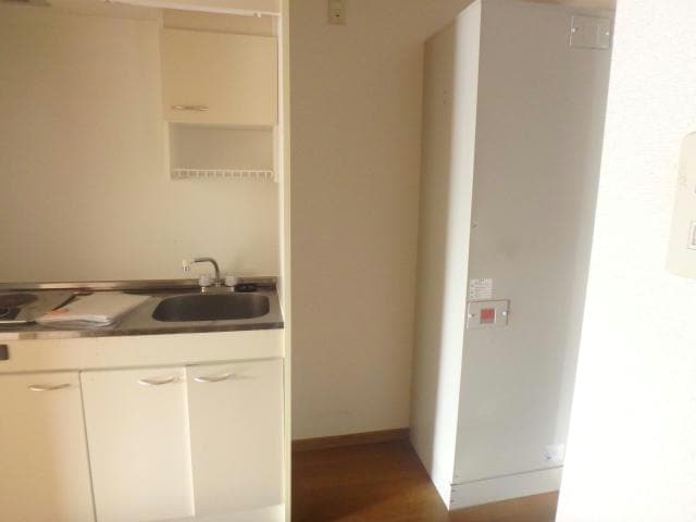 204 シャドーラム