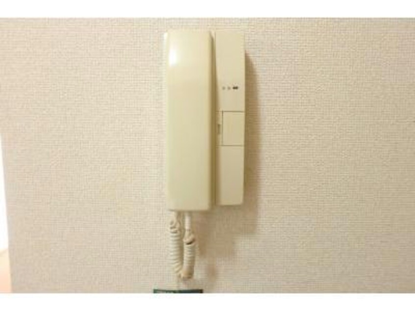 204 シャドーラム