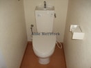 同型タイプ203 レークハヤⅢ
