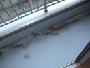 同型タイプ203 レークハヤⅢ