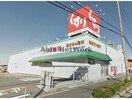 スギ薬局住吉店(ドラッグストア)まで1282m テルミーヌ・シャンブル