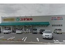 スギ薬局築地店(ドラッグストア)まで715m サンライズ