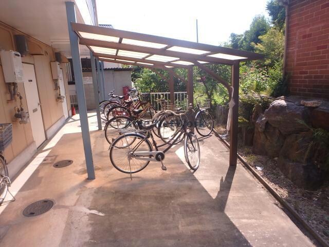  パレスカモメ